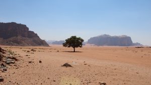 Wüstenlandschaft in Jordanien
